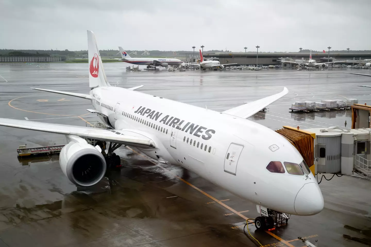 The nightmare journey began with a 90-minute delay.