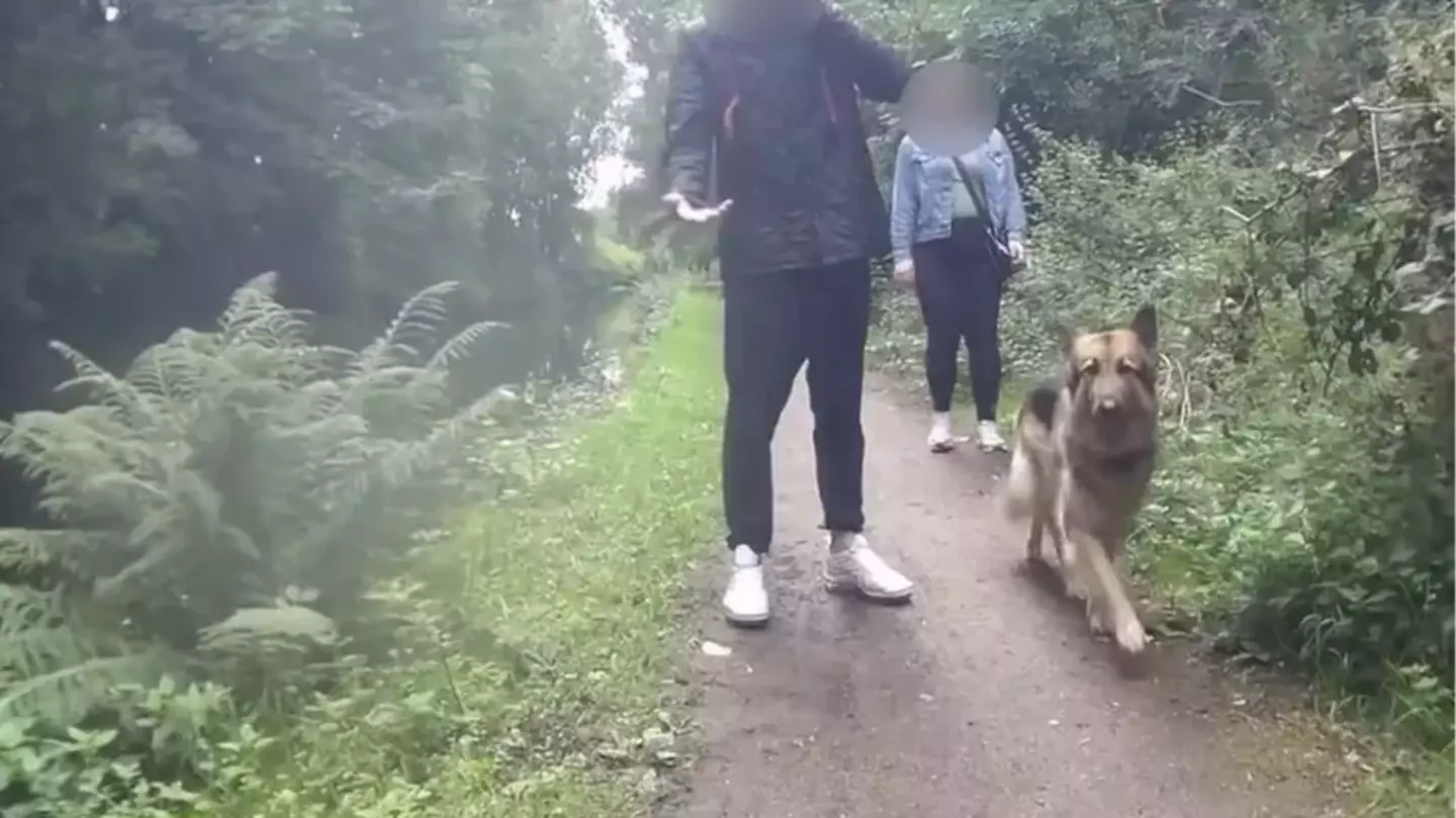 Dog walker speaks out after 'pushing' cyclist into canal over 'not slowing down' in shocking footage