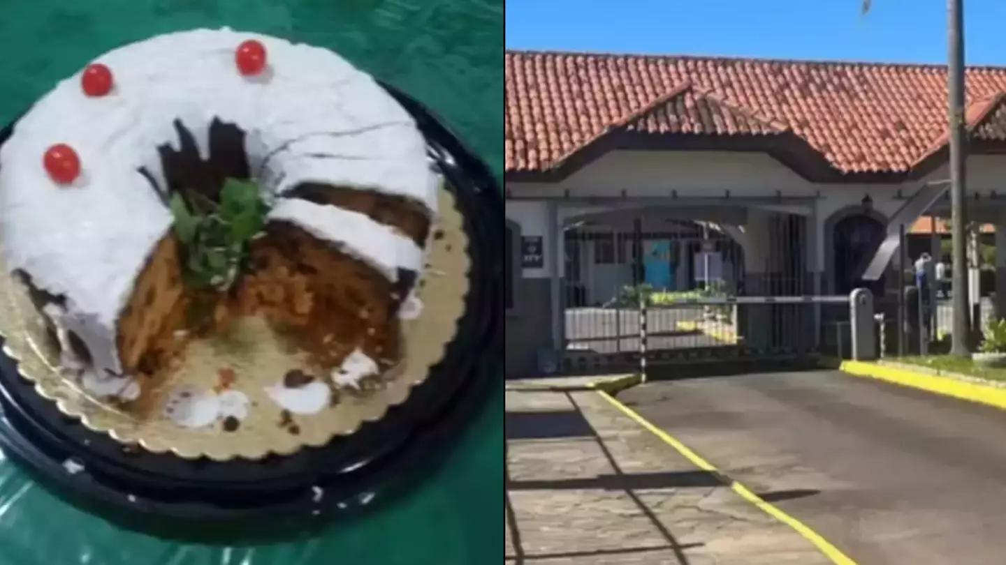 Police discover critical evidence on daughter-in-law's phone following arrest over Christmas cake that killed three