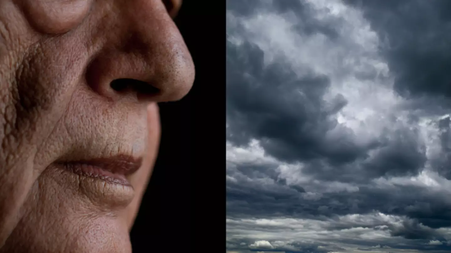 What it means if you have the ability to smell when rain is coming