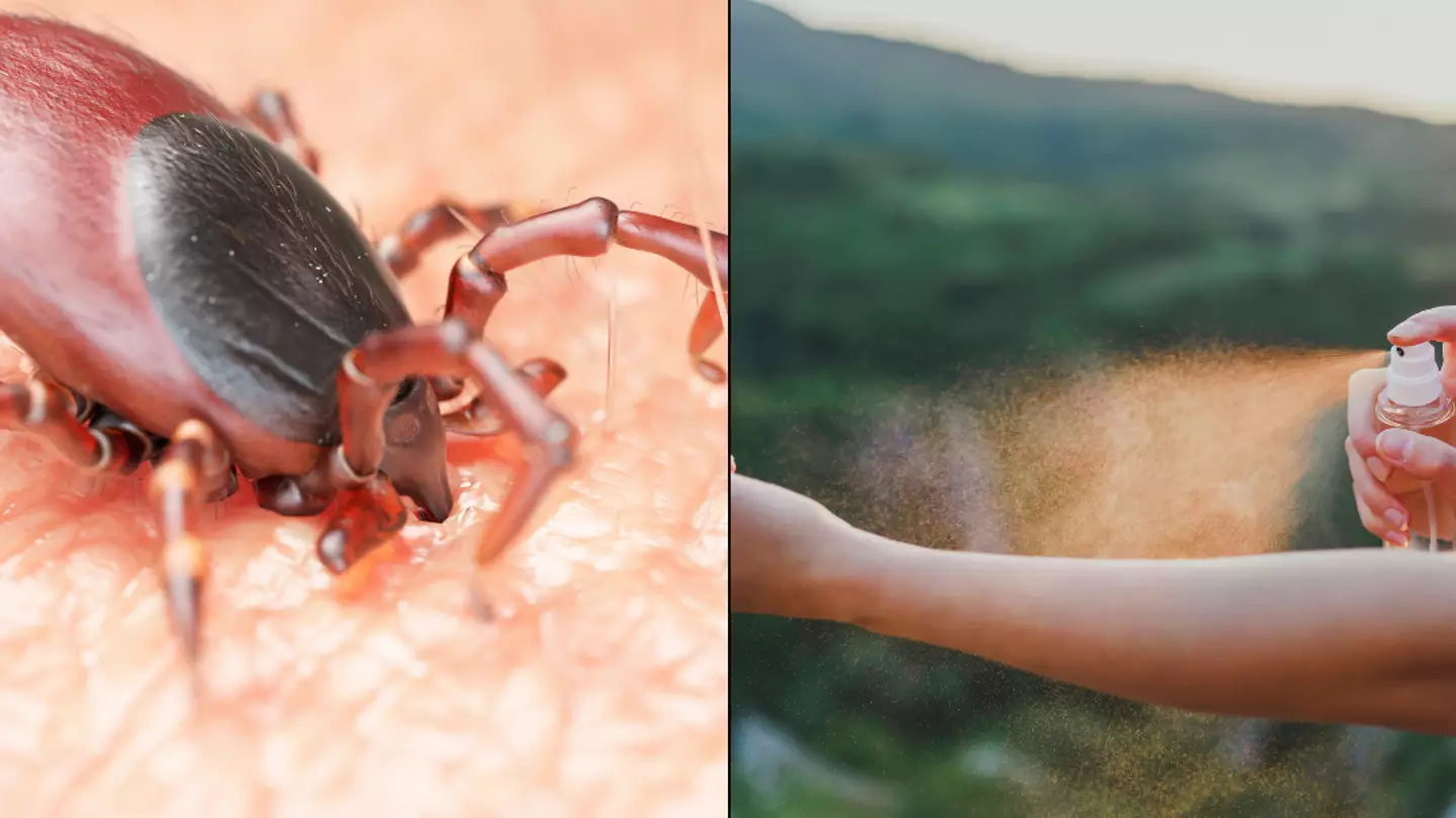 Brits warned over plague of ‘Monster Ticks’ invading holiday hotspots