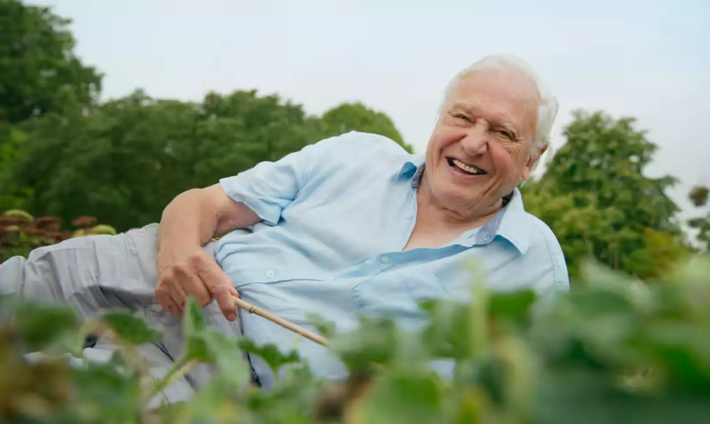 Sir David Attenborough in The Green Planet.