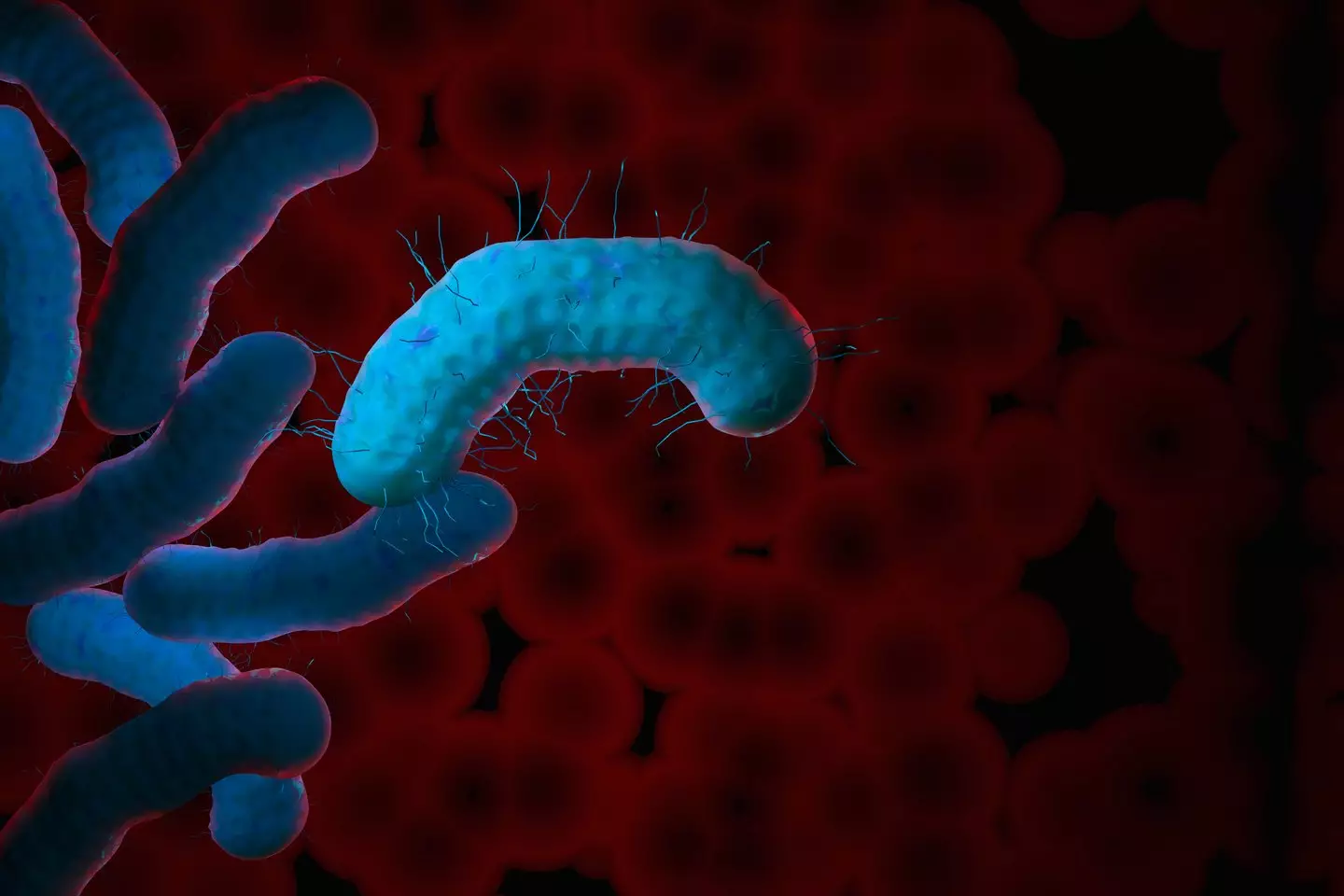 Cases of the disease are rocketing (Getty Stock)