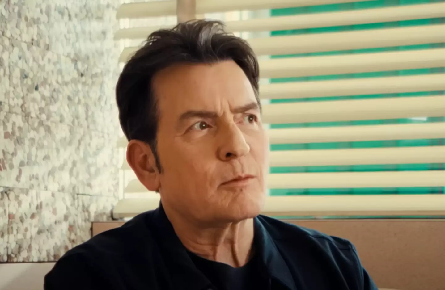 Charlie Sheen has explained why he has never publicly revealed that he had sex with men (Netflix)