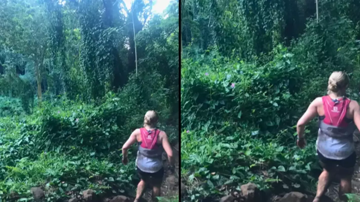 'Nightmarcher' demon spotted in unsuspecting photo of forest runner comes with terrifying consequence