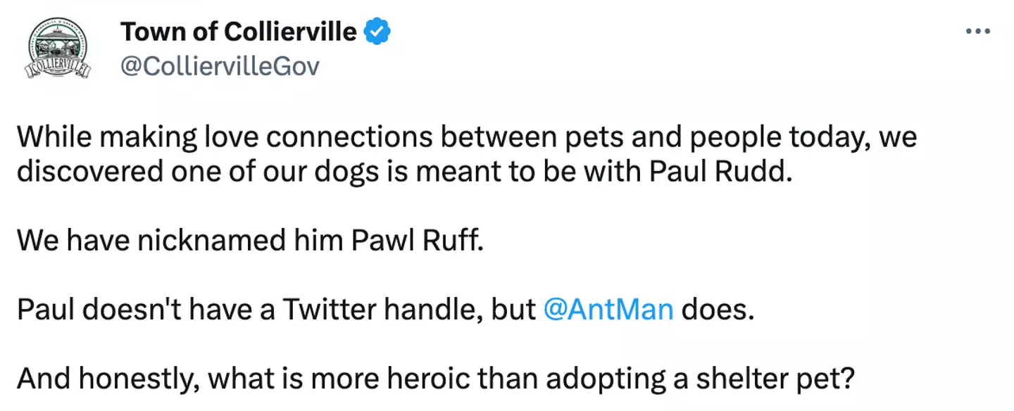 "One of our dogs is meant to be with Paul Rudd."