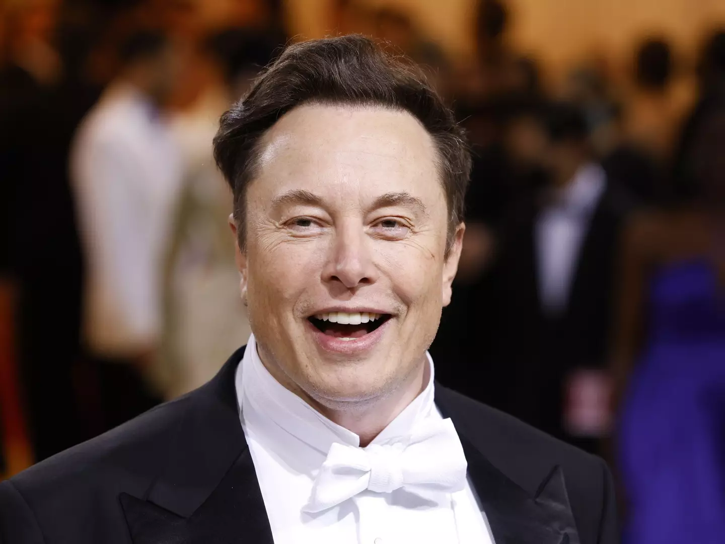 Elon Musk attended the Met Gala with his mum.