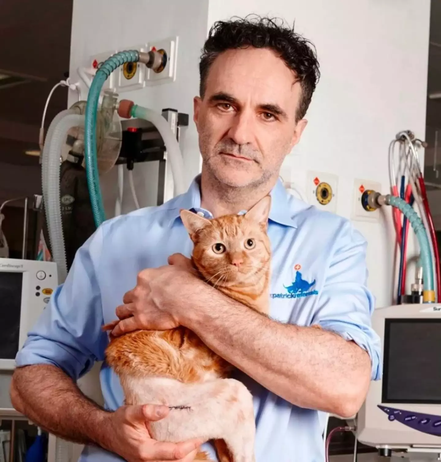 Noel Fitzpatrick is the man who inspired Britney's pop hit.