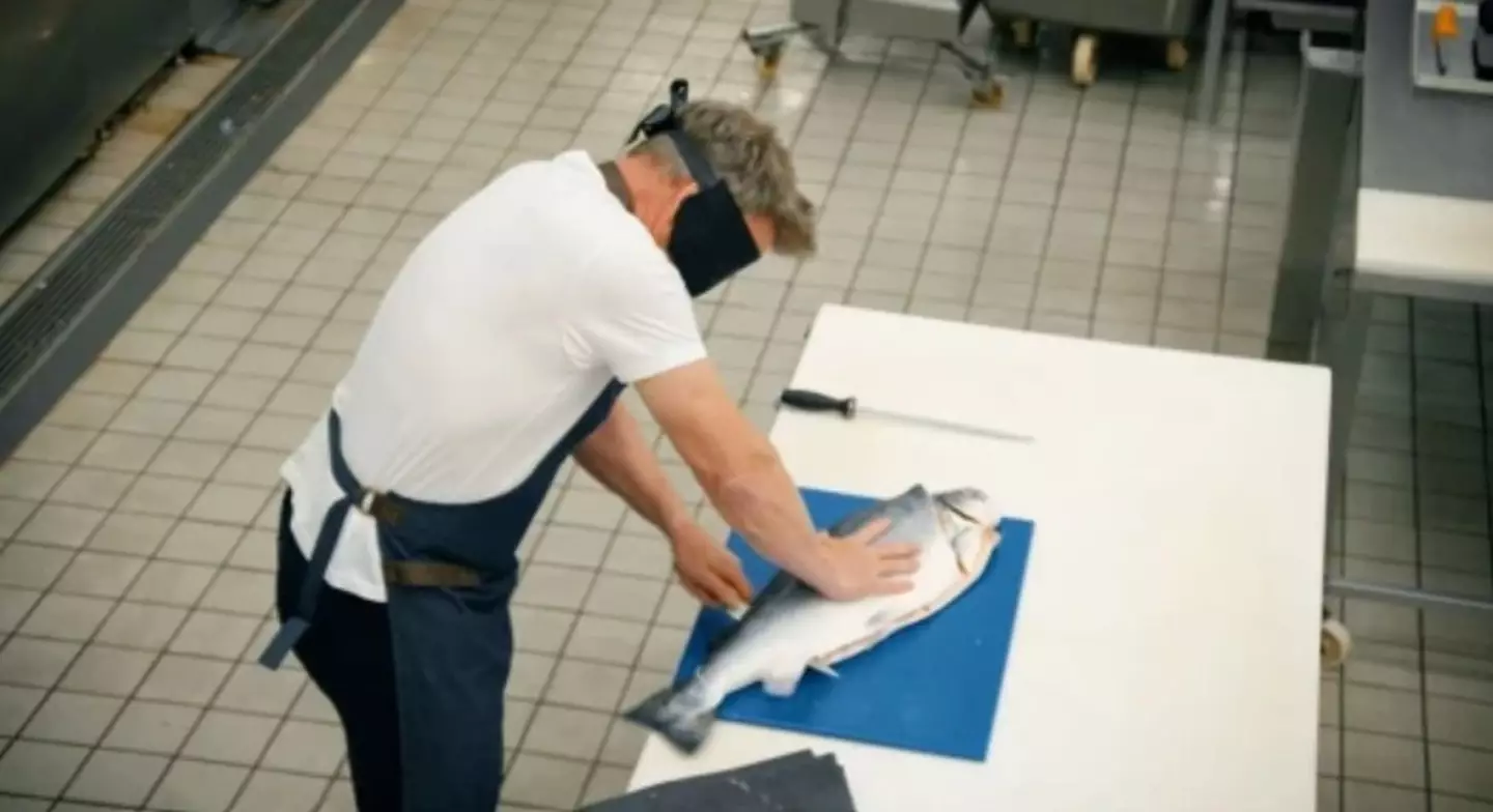 Gordon Ramsay fillets a salmon blindfolded on his new BBC One show.