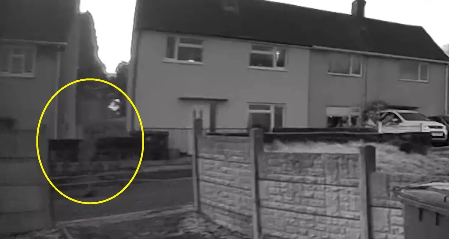 Both women are stumped on what the figure really was (Kennedy)