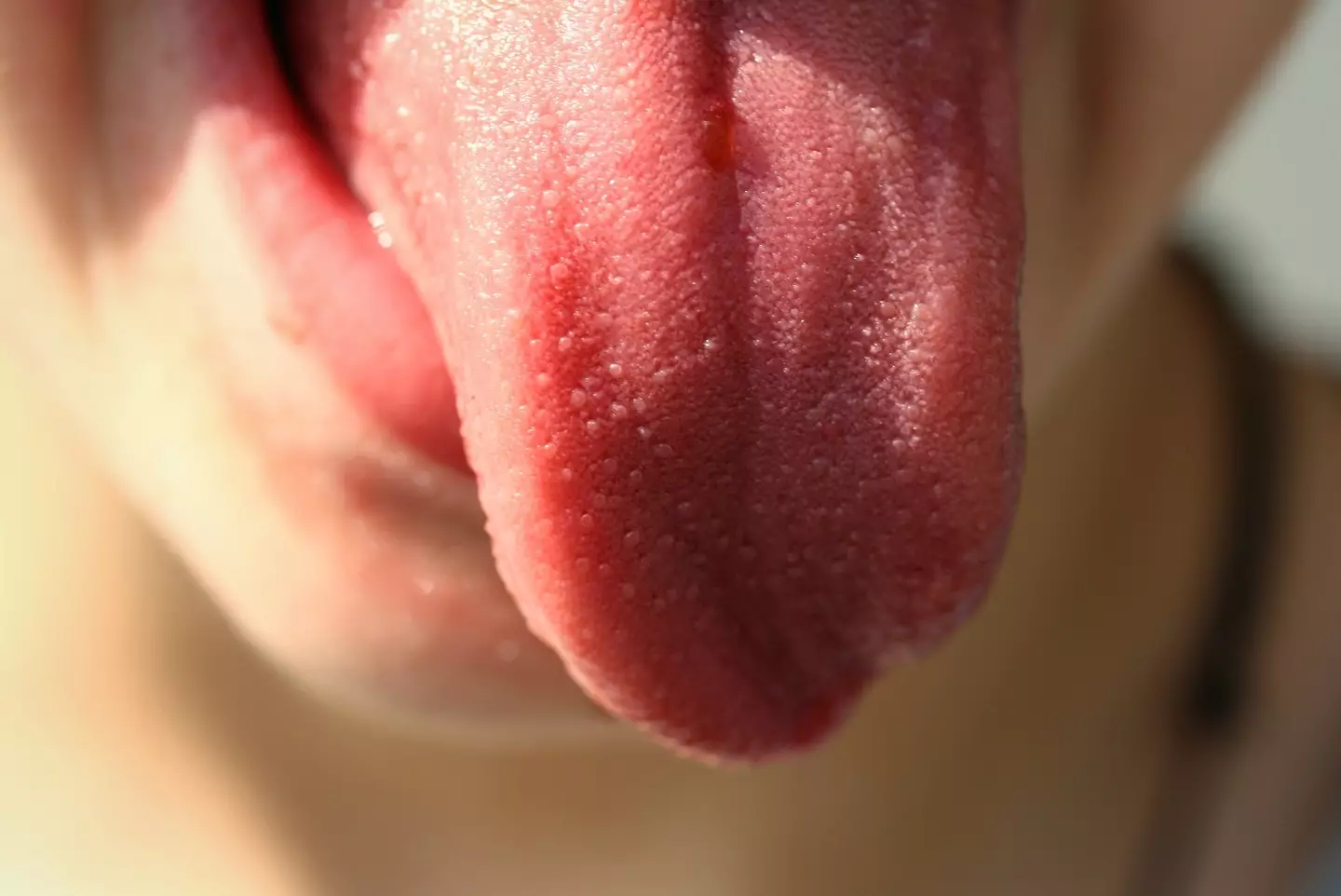 The tongue map theory has been debunked.