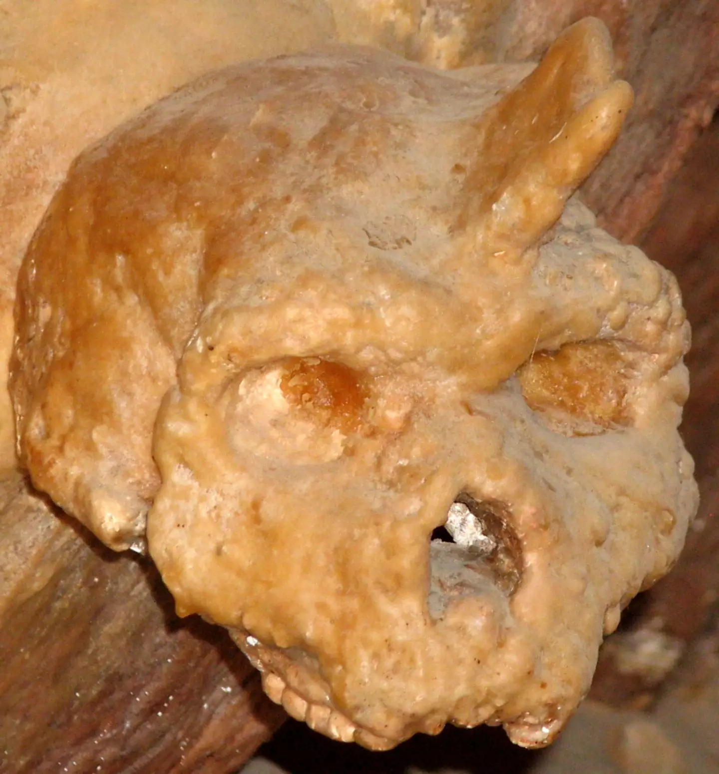 It has been dated to around 300,00 years ago (Wikimedia Commons)