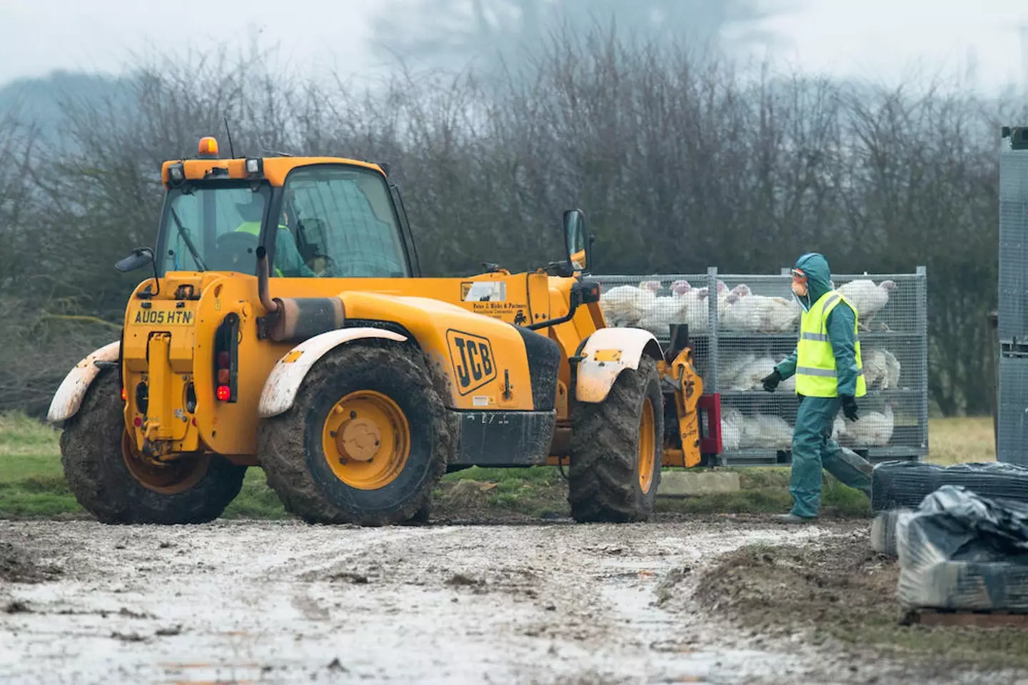 The UK has experienced its largest ever outbreak of avian influenza.