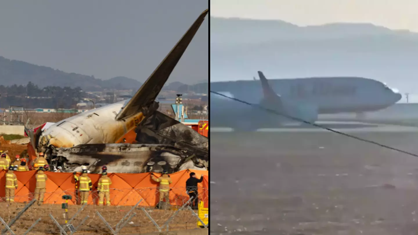 Why there was concrete wall near runway that expert labelled 'defining moment' in plane crash that killed 179 people