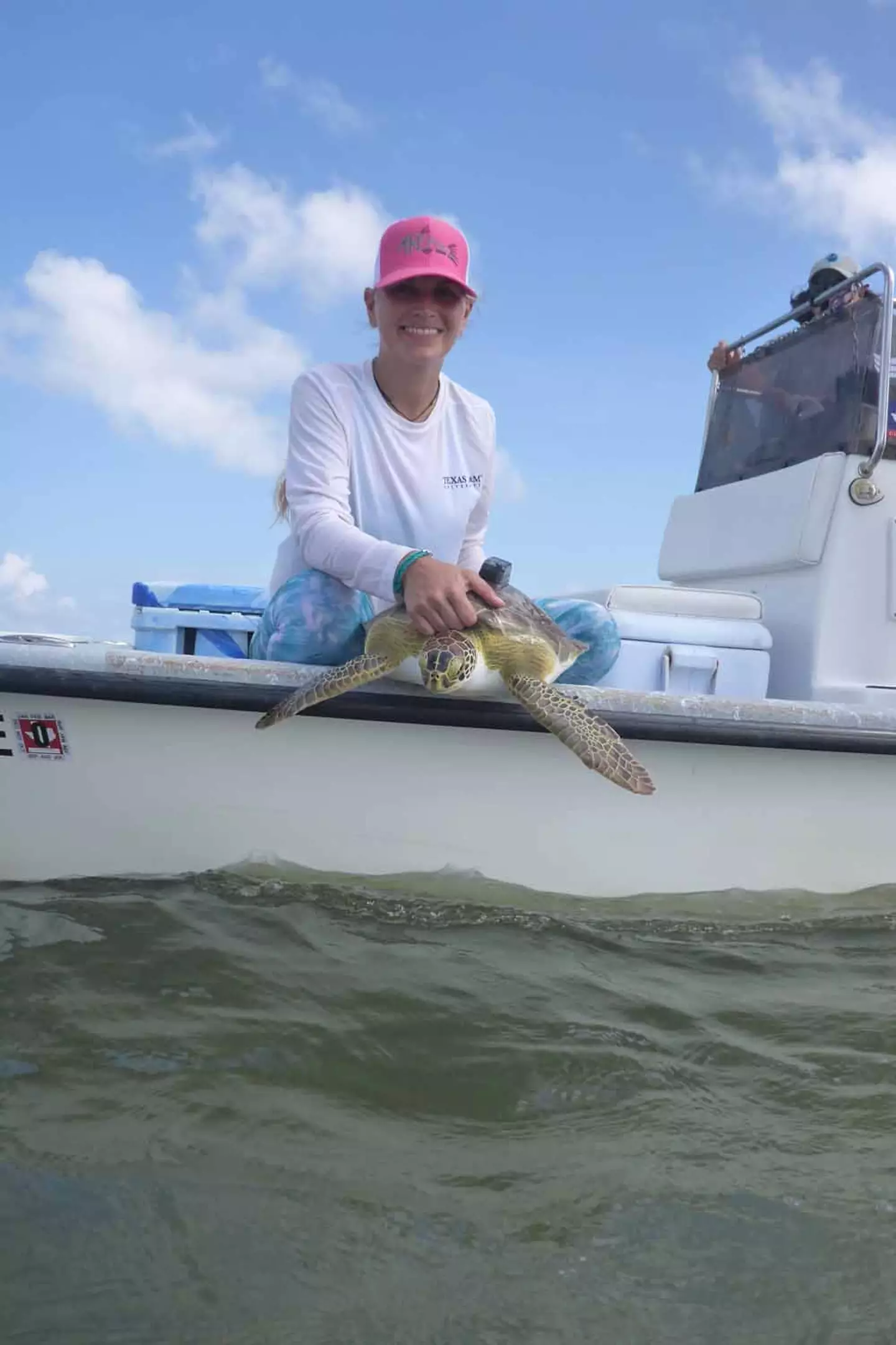 The turtles are tagged so that Christine’s team can track them.