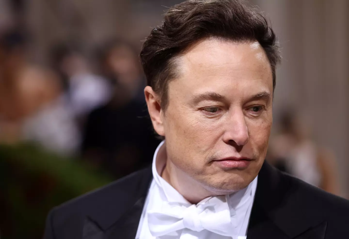 Musk has vowed to enhance 'free speech' on Twitter as well as cracking down on anonymity.