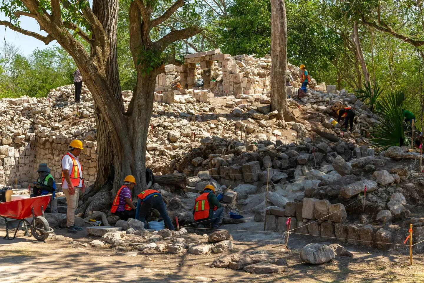 Where did the Mayans go? (Geography Photos/Universal Images Group via Getty Images)