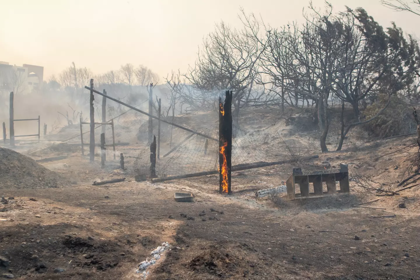 Wildfires on Rhodes have forced thousands of people to be evacuated.