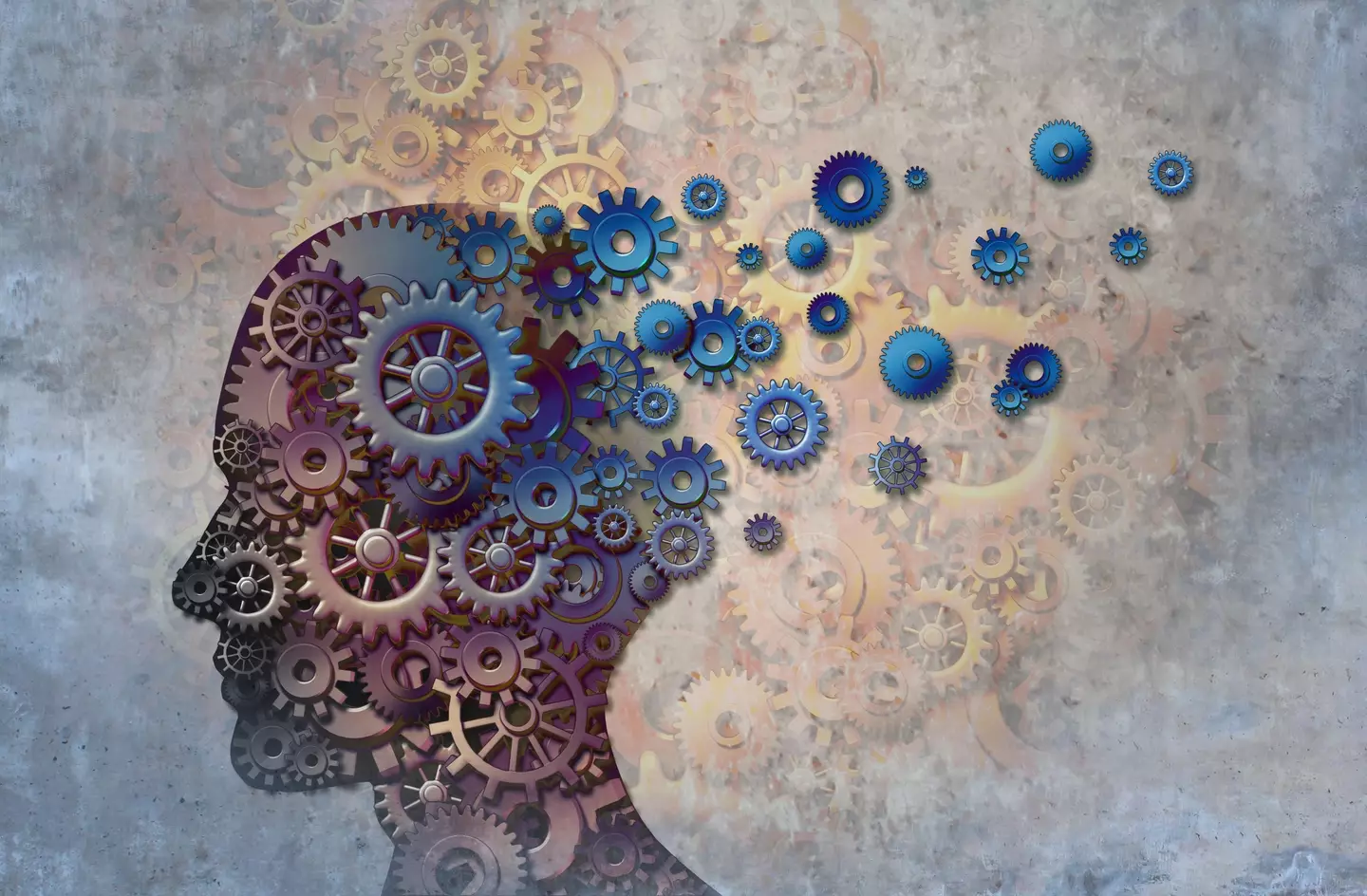 Scientists believe they've found a way to treat Alzheimer's.