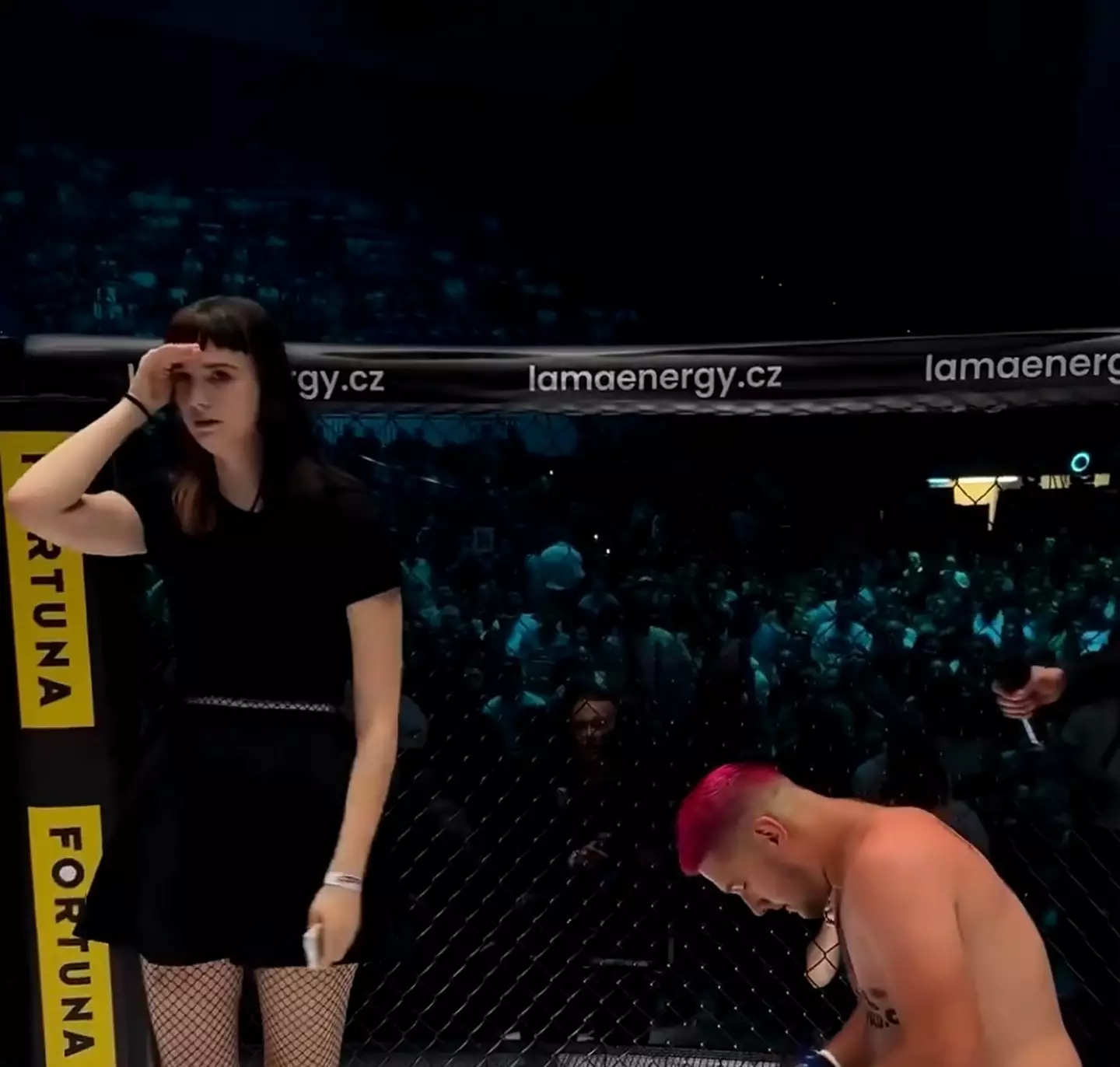 Lukas Bukovaz's proposal looked doomed from the start (X/@HappyPunch)