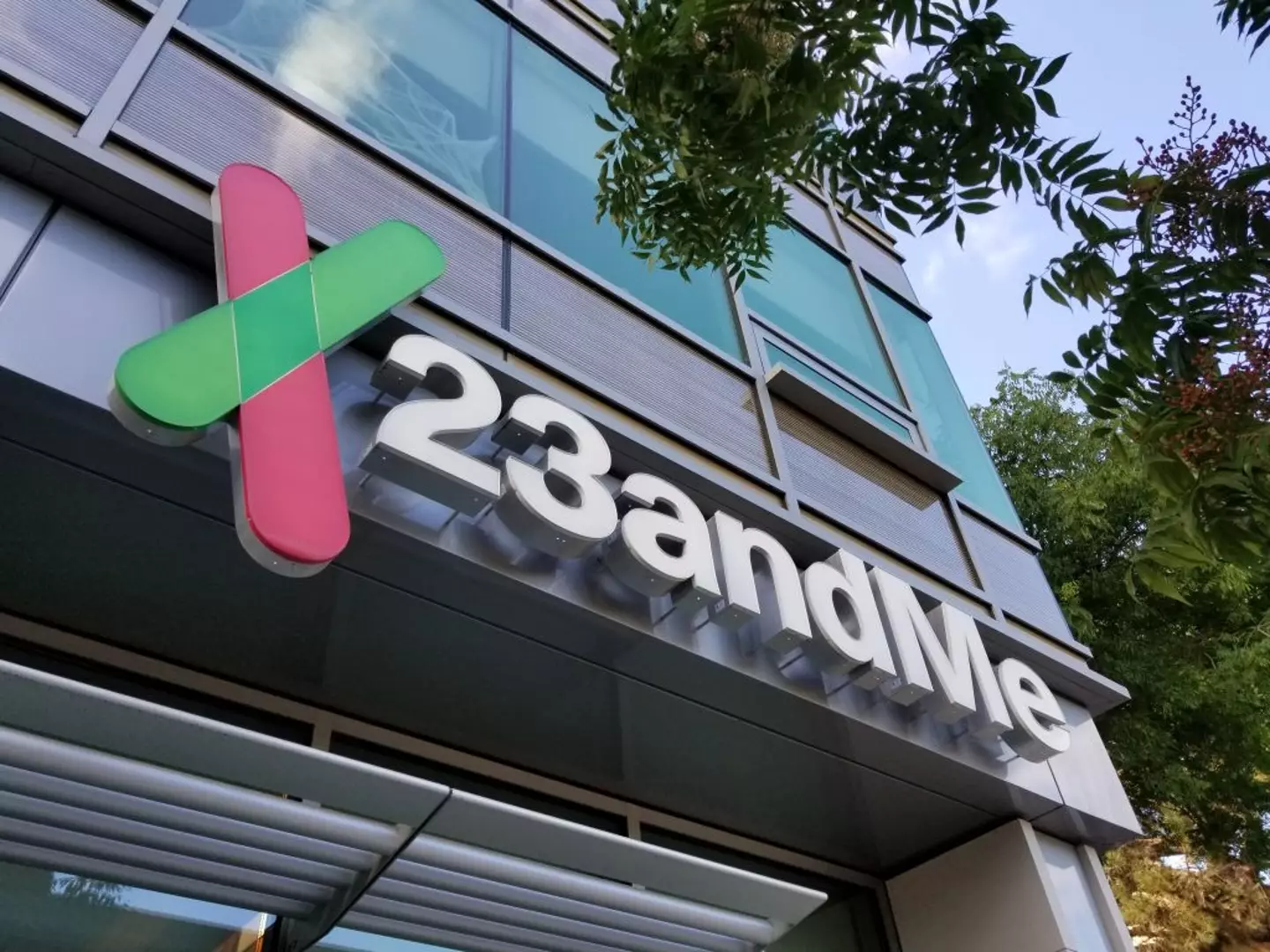 A warning has been sent out to 23andMe users that a potential buyer could acquire their data and DNA sample, and reminded people they could demand the company get rid of the records (Smith Collection/Gado/Getty Images)