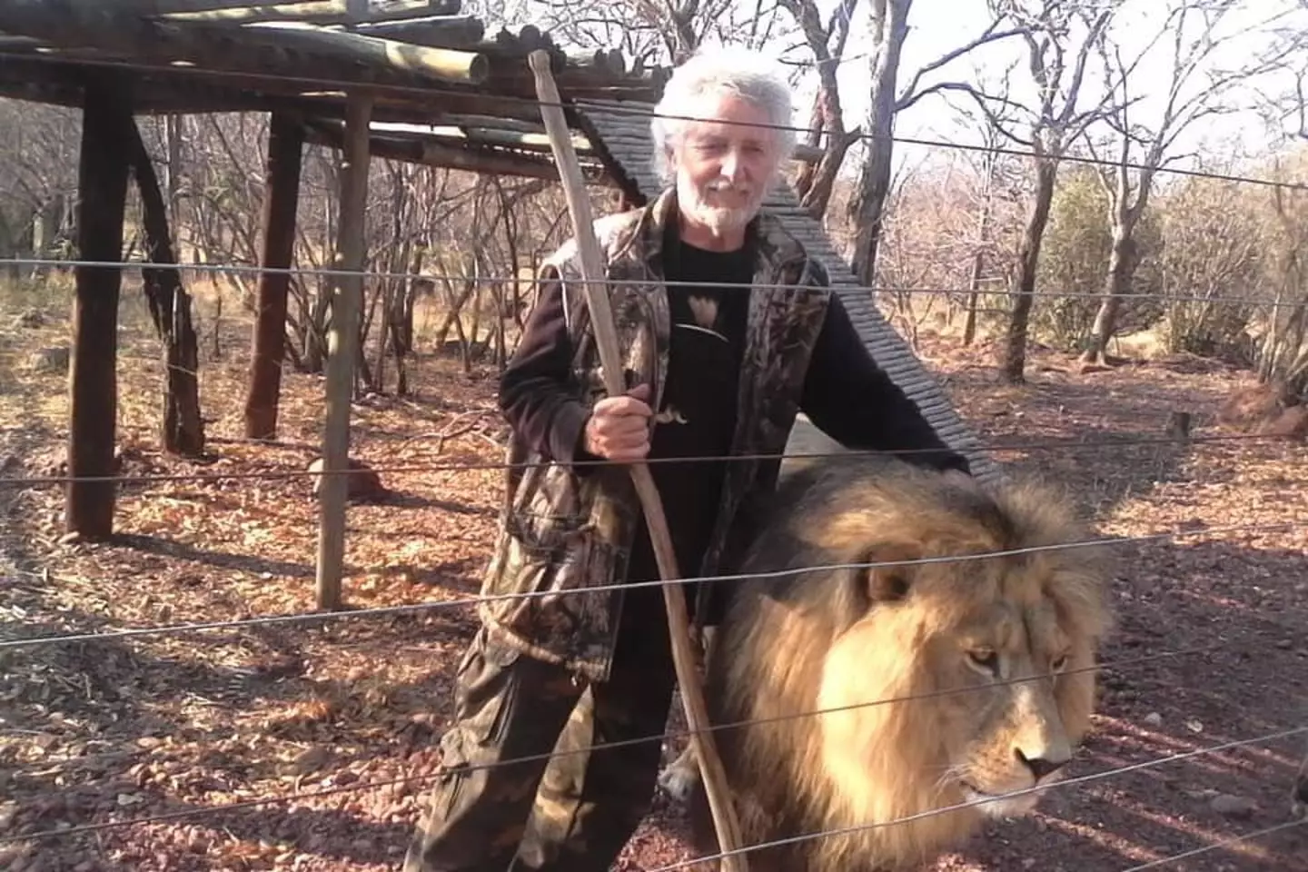 One of the lions attacked when his back was turned (Facebook/Mahala View Lodge)