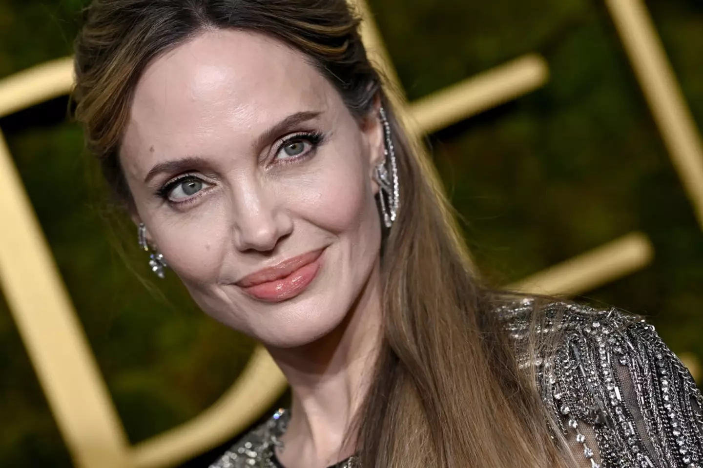 He ended up saving Jolie's life (Axelle/Bauer-Griffin/FilmMagic)
