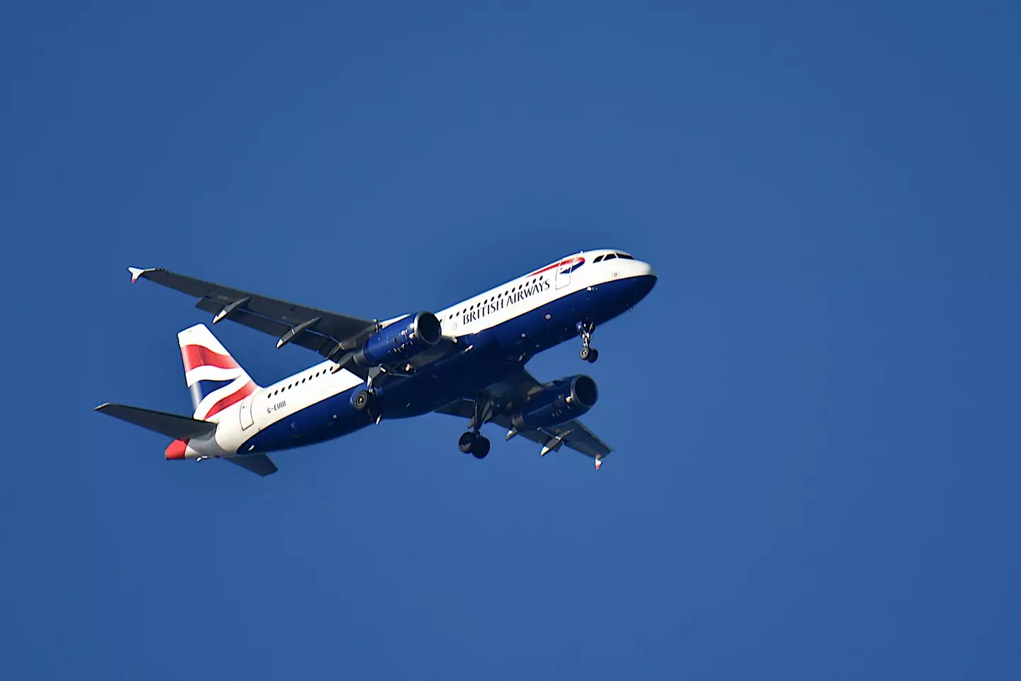 Flight crew and paramedics unsuccessfully attempted to revive the woman.