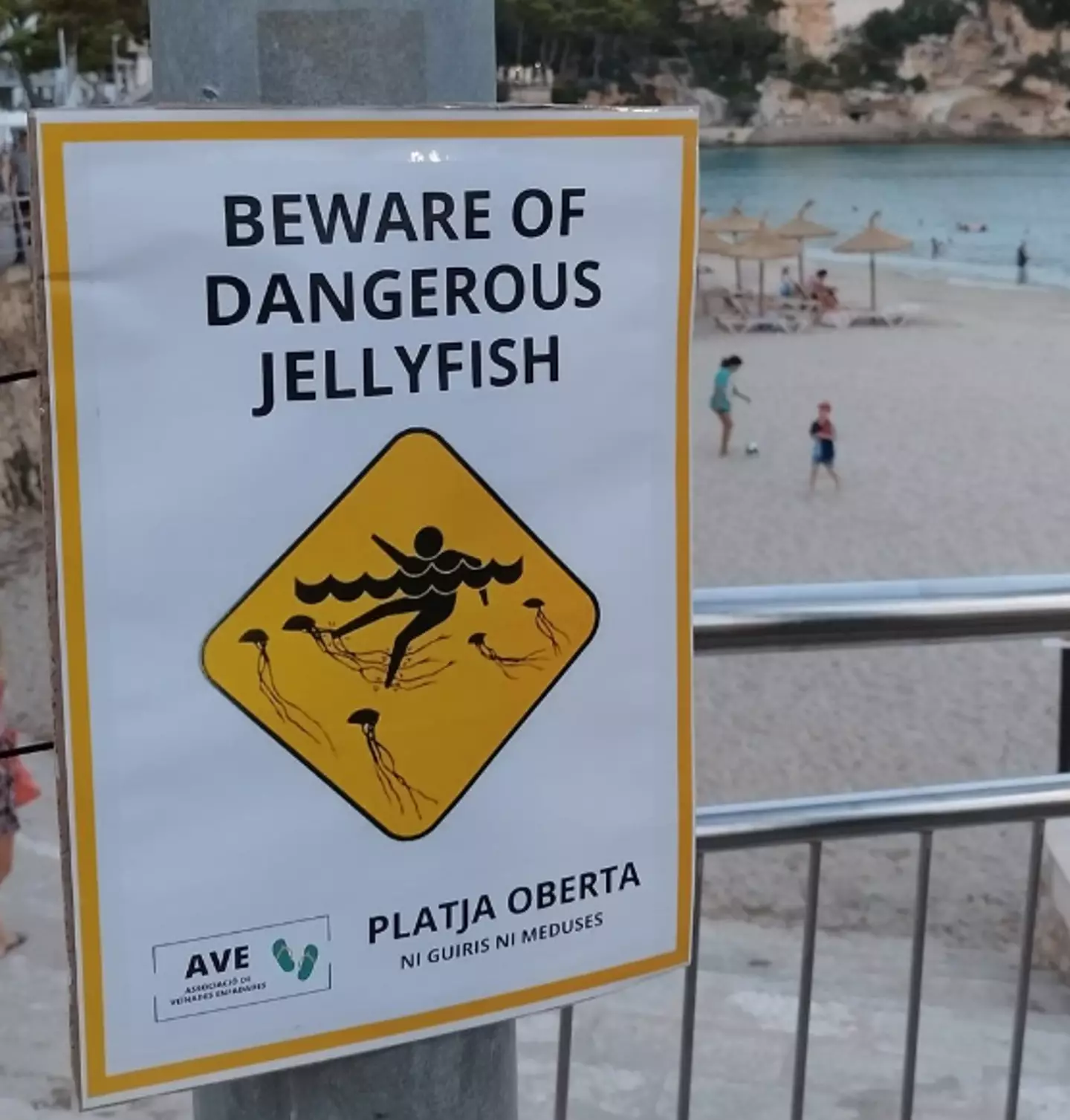 The signs warn of threats to beachgoers.