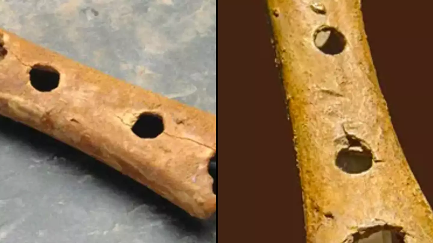 Sound of world s oldest instrument made by a neanderthal is truly