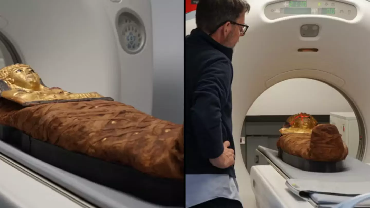 New X-ray scan answers 3,000-year-old mystery of Egyptian 'locked-mummy'