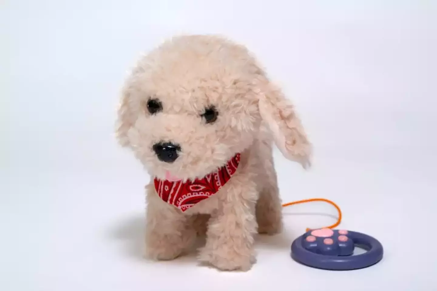The animal rights charity sent Allen this gift. (PETA)