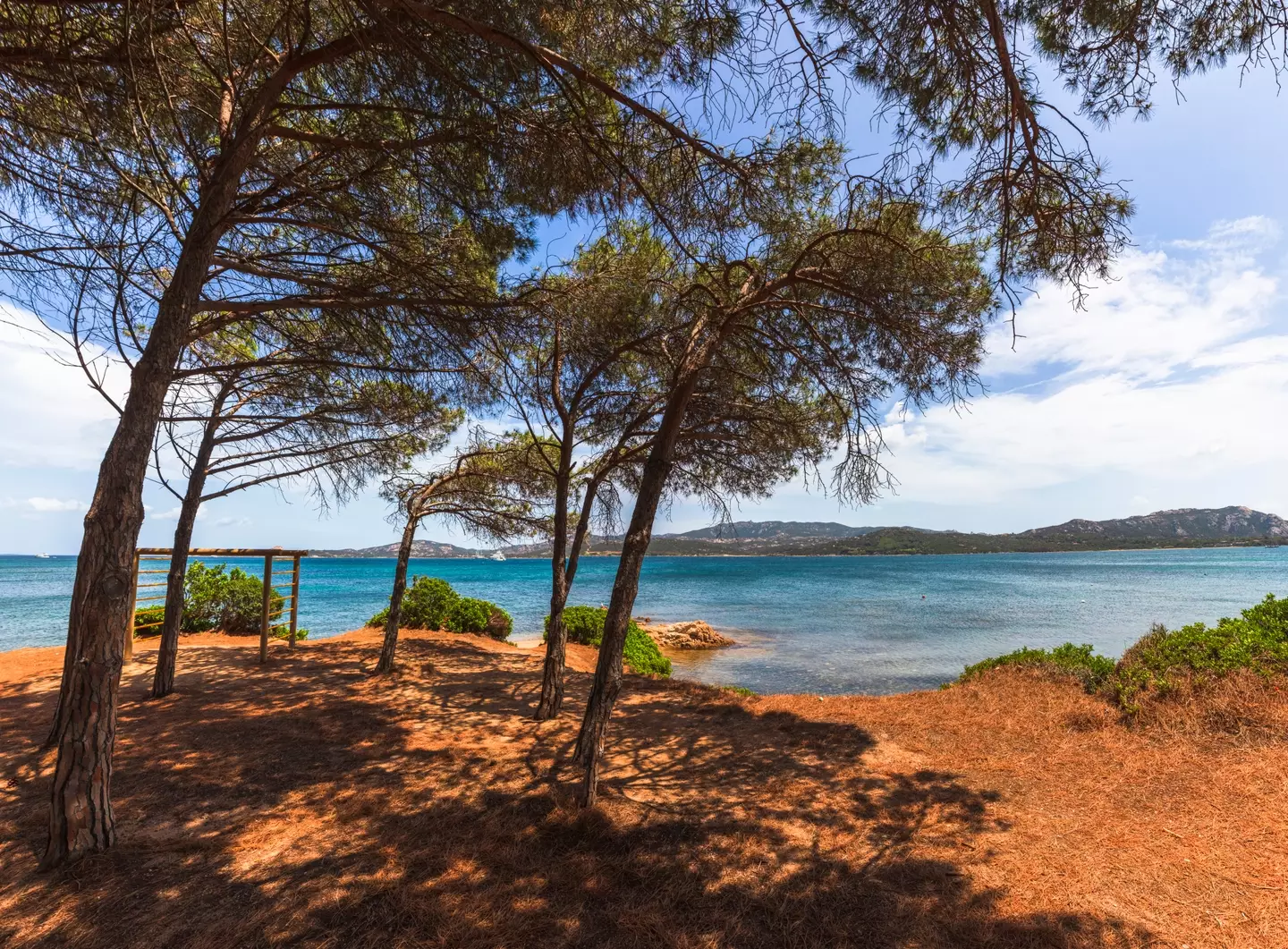 The incident took place on the northern coast of Sardinia.