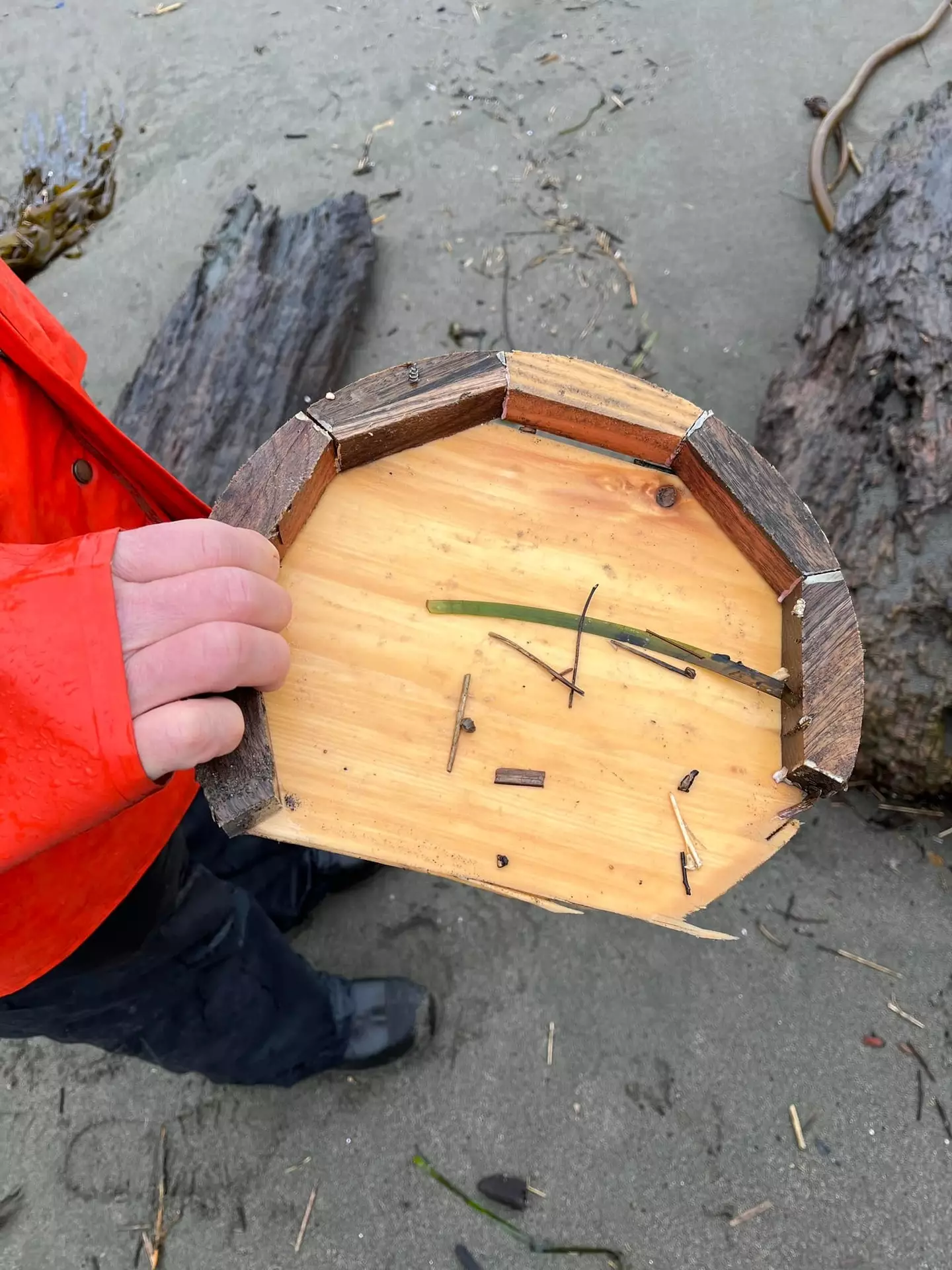 Part of Hunter's 'wooden treasure bucket', found on a beach.