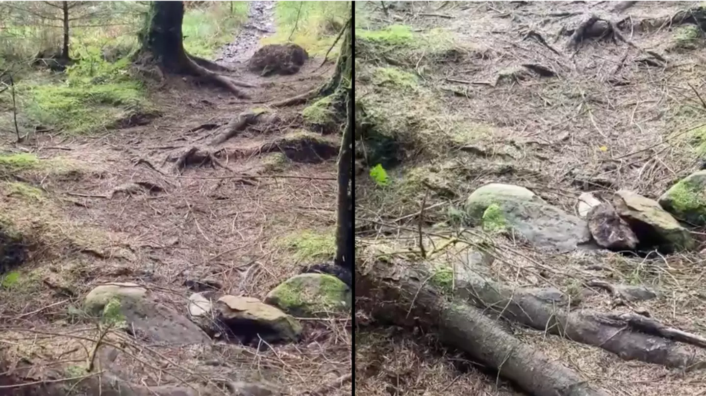 Eerie video sees 'woods move like the sea' as Storm Babet hits UK