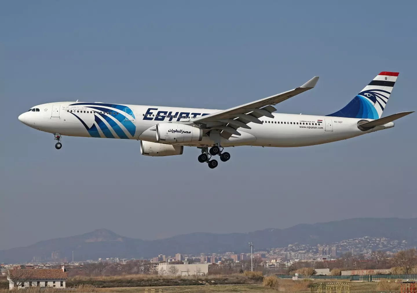 An Egyptair A330 aircraft.