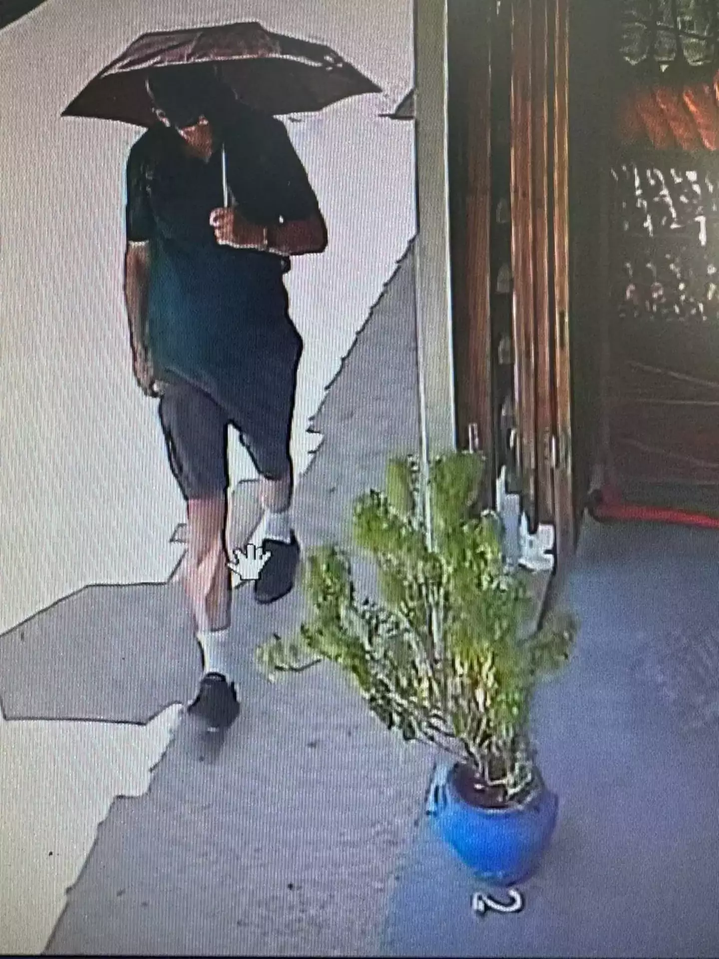CCTV images showed Mosley carrying an umbrella. (Police handout)