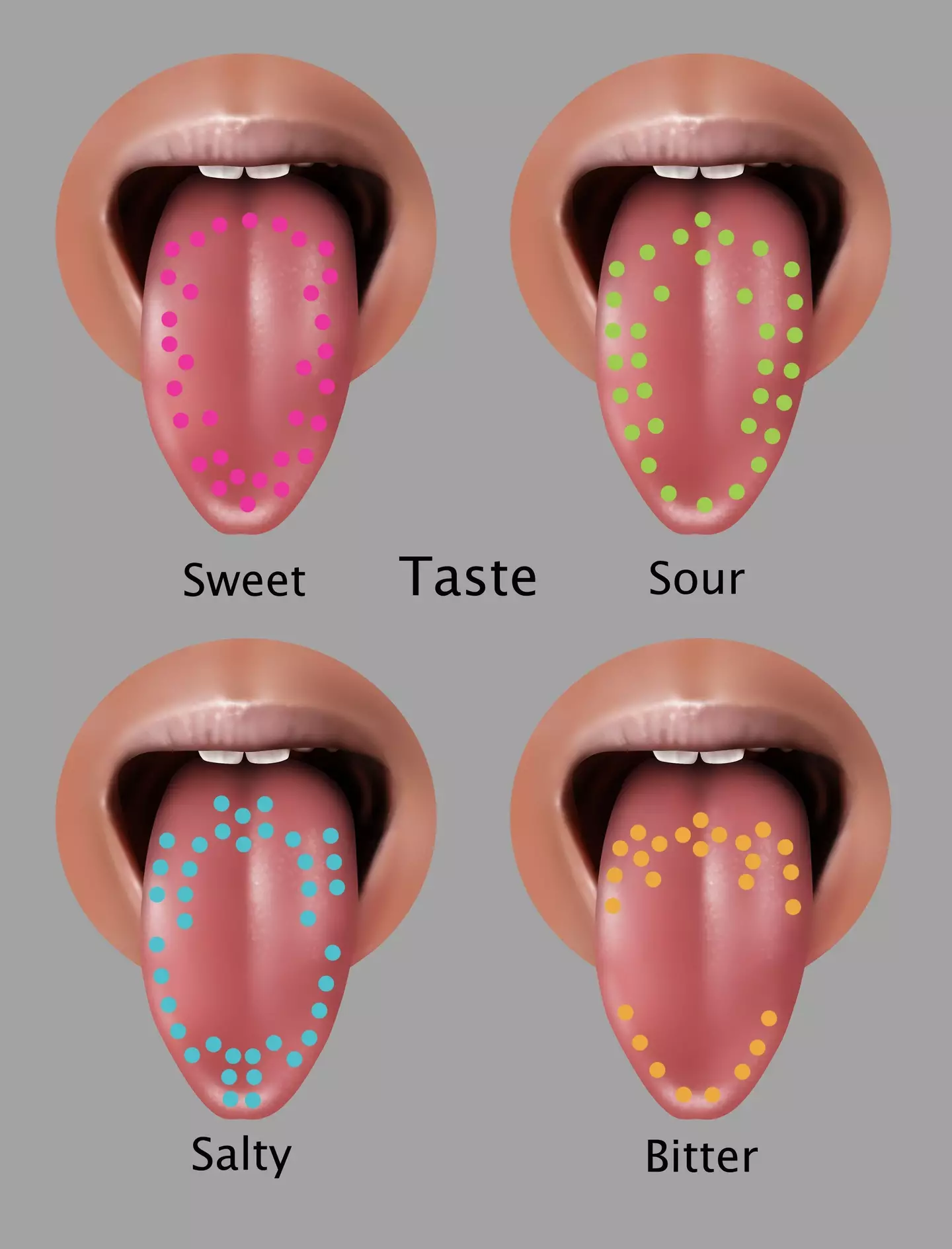 The tongue map theory dates back to the 1940s.