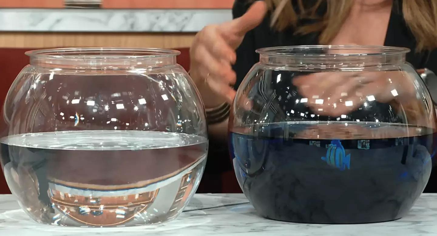 She uses the analogy of being a fish in a bowl full of ink (ITV)