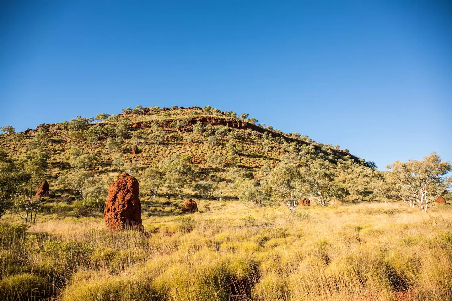 The findings were hidden deep beneath Western Australia’s remote Hamersley region (Getty Stock Image)