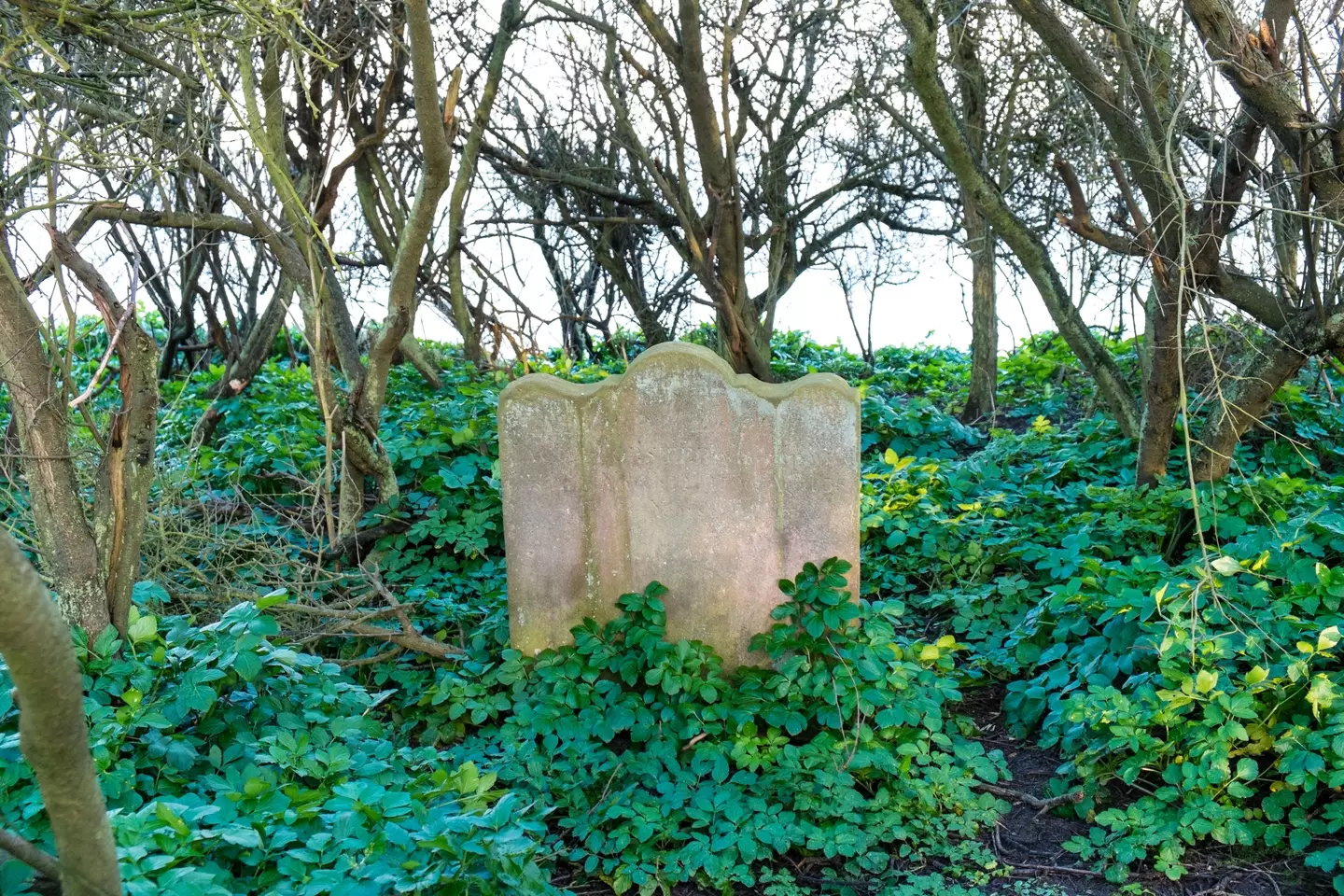 The woman defaced her husband's gravestone.