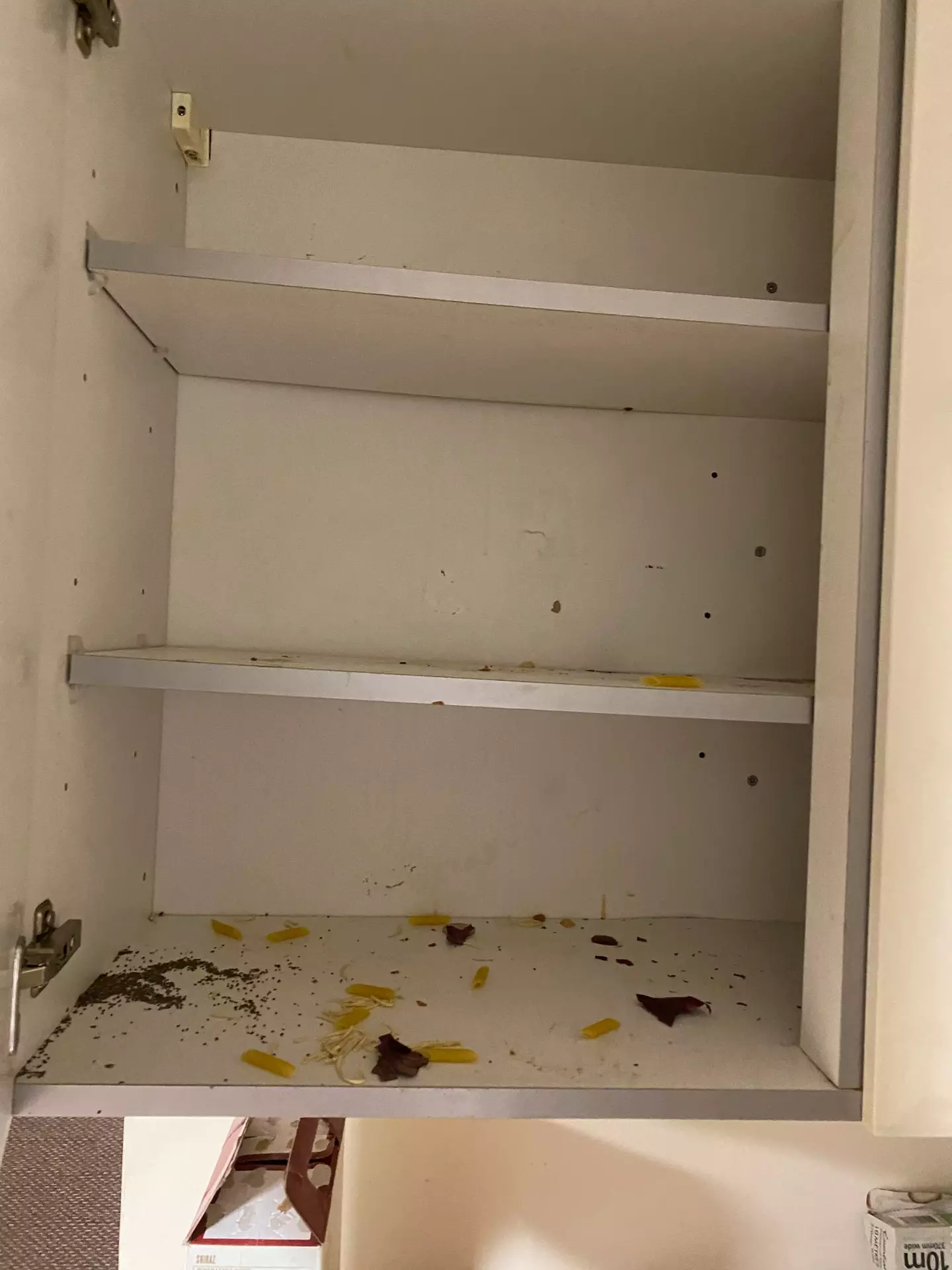 This Durham student was horrified at the state of their new kitchen (Supplied)