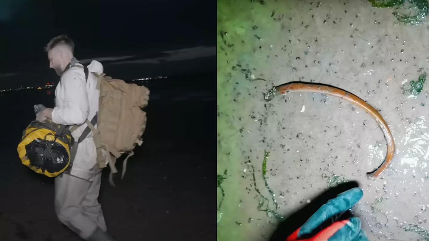 'World's most infected island' full of human skulls is located less than a mile off UK coast