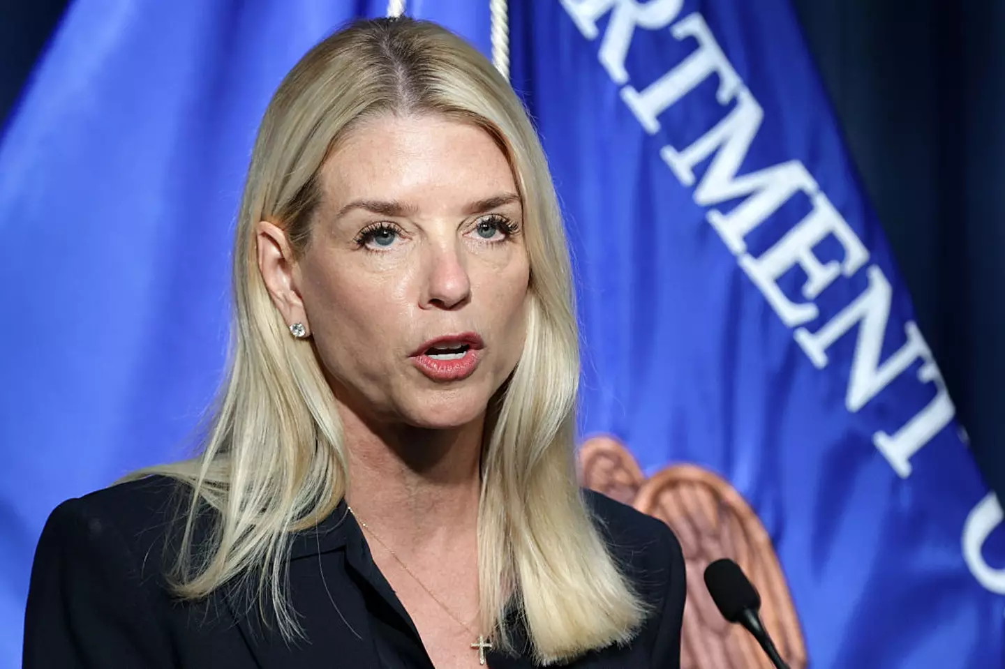 Pam Bondi has come under scrutiny for past comments (Alex Wong/Getty Images)