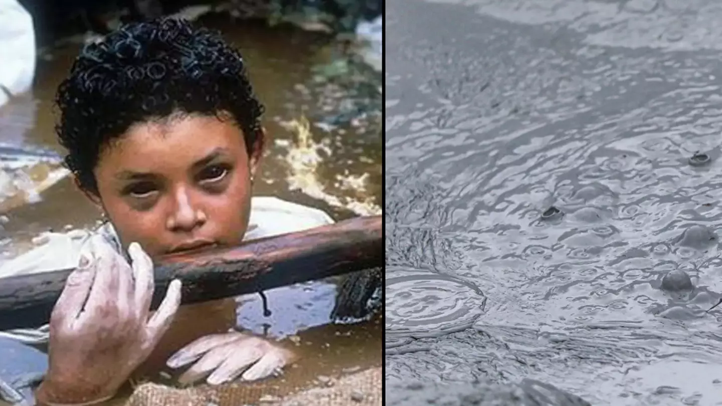 Beata Whitehead/Getty Images/Wikipedia Commons