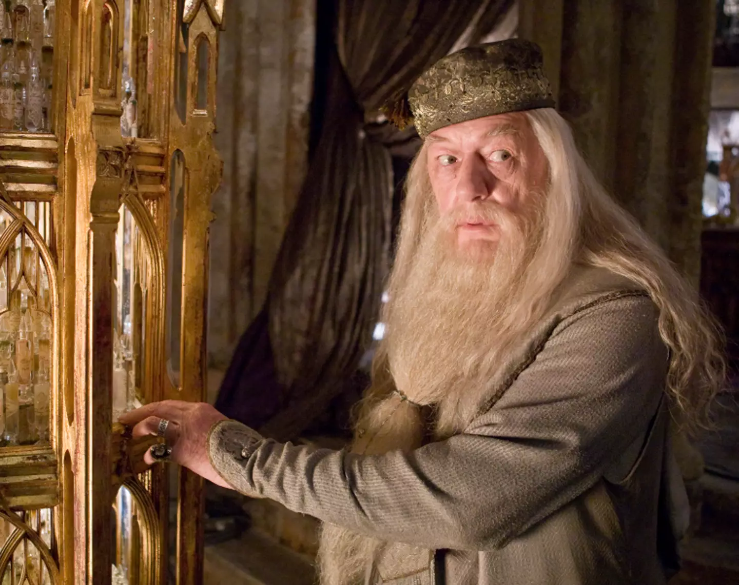 It looks like they've found their Dumbledore. (Warner Bros.)
