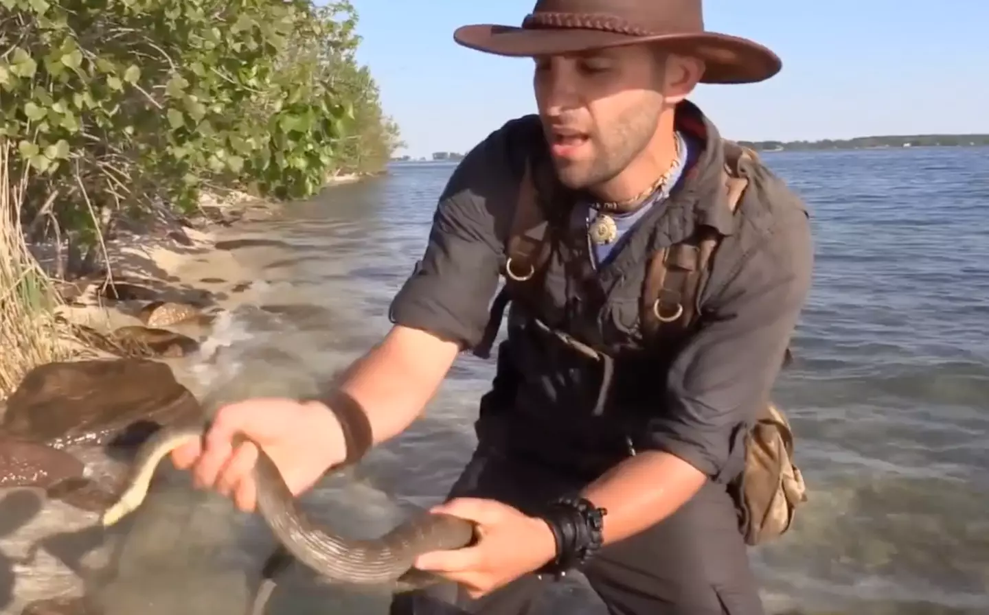 Coyote Peterson got up close and personal with a Lake Erie watersnake while visiting Ohio's 'Snake Island.'