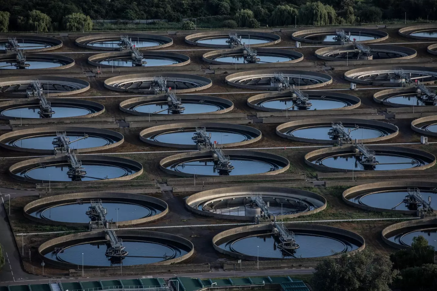 Traces of the polio virus were found at Beckton Sewage Treatment Works, which serves more than four million Londoners.