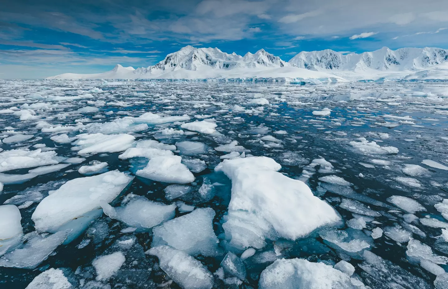 Scientists thing climate change is responsible for Antarctica's melting ice.
