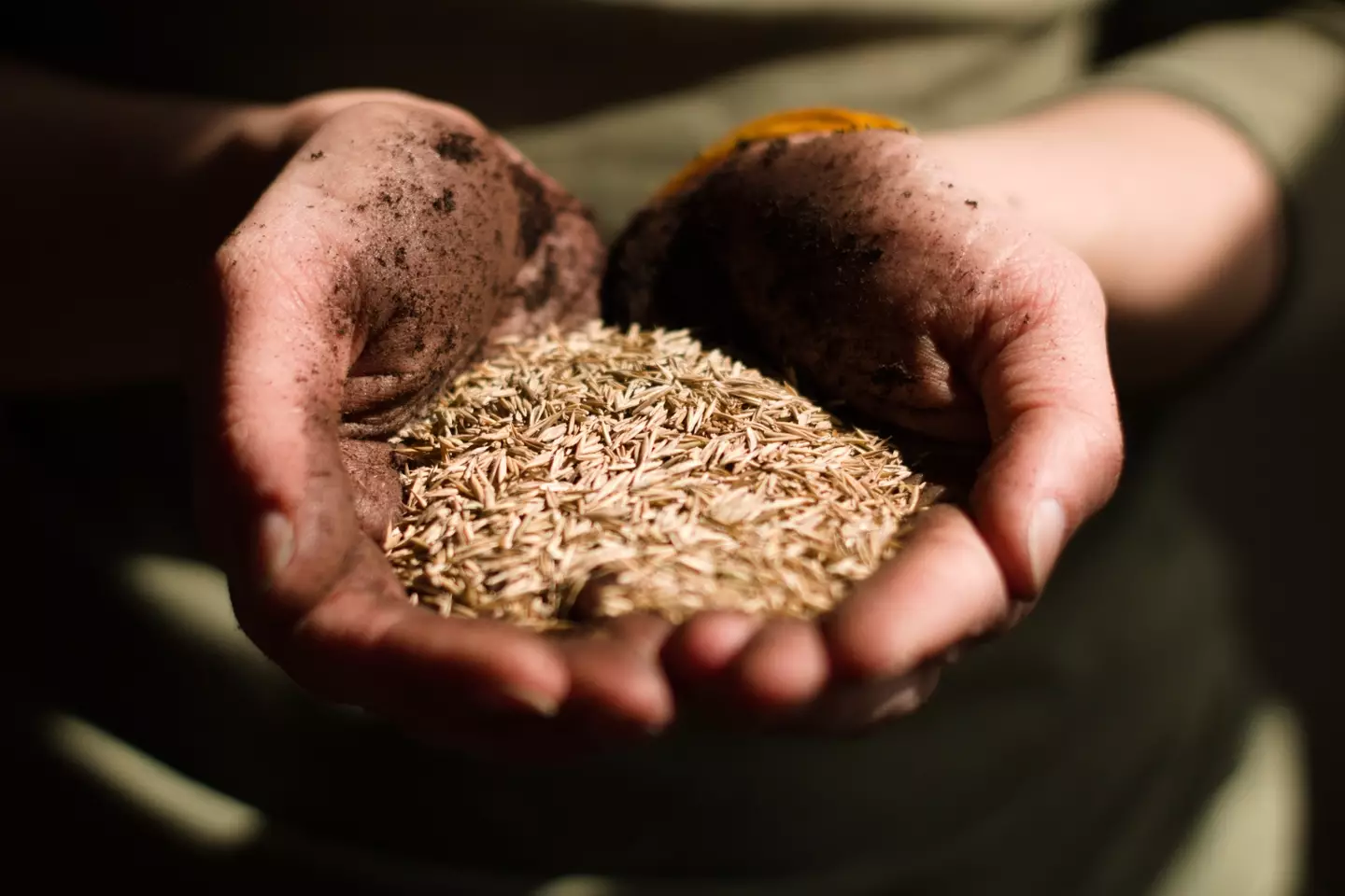 The buyer sent over a contract for flax.